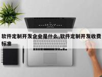 软件定制开发企业是什么,软件定制开发收费标准