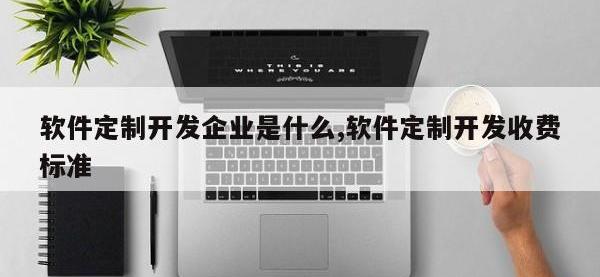 软件定制开发企业是什么,软件定制开发收费标准