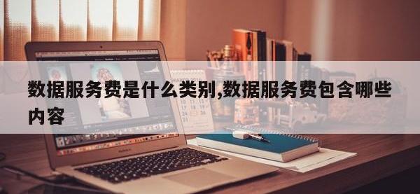 数据服务费是什么类别,数据服务费包含哪些内容