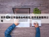 软件定制公司值得去吗现在,软件定制服务公司