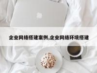 企业网络搭建案例,企业网络环境搭建