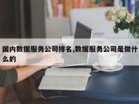 国内数据服务公司排名,数据服务公司是做什么的