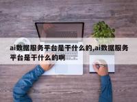 ai数据服务平台是干什么的,ai数据服务平台是干什么的啊