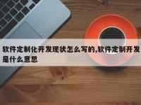 软件定制化开发现状怎么写的,软件定制开发是什么意思