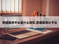 数据服务平台是什么类型,数据服务化平台