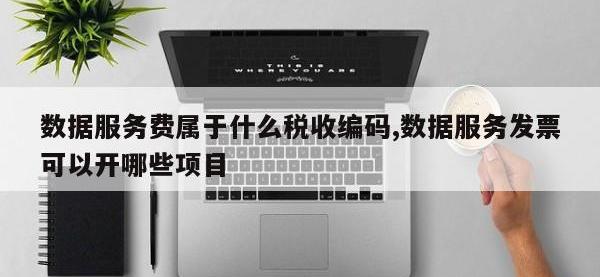数据服务费属于什么税收编码,数据服务发票可以开哪些项目