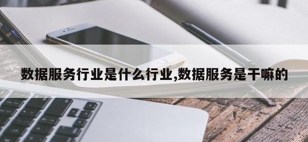 数据服务行业是什么行业,数据服务是干嘛的