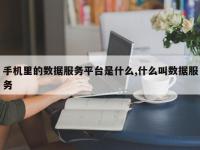 手机里的数据服务平台是什么,什么叫数据服务