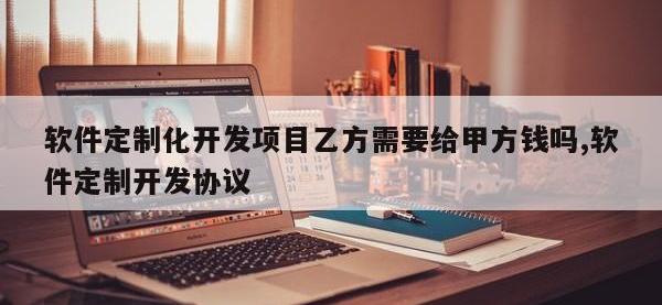 软件定制化开发项目乙方需要给甲方钱吗,软件定制开发协议