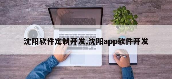 沈阳软件定制开发,沈阳app软件开发