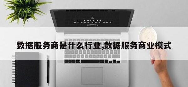 数据服务商是什么行业,数据服务商业模式