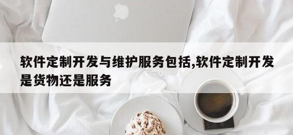 软件定制开发与维护服务包括,软件定制开发是货物还是服务