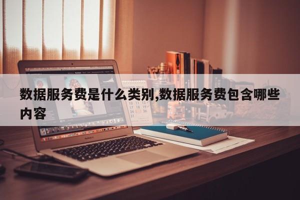数据服务费是什么类别,数据服务费包含哪些内容