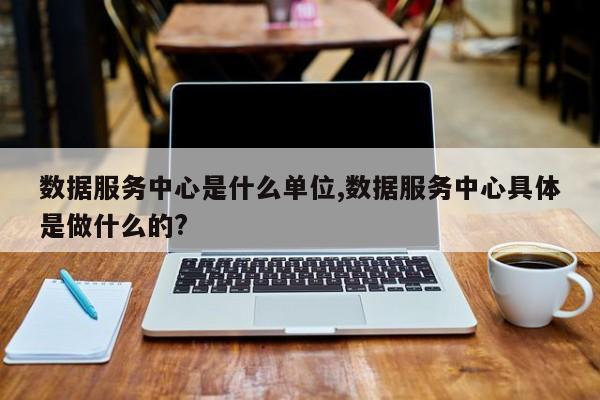 数据服务中心是什么单位,数据服务中心具体是做什么的?