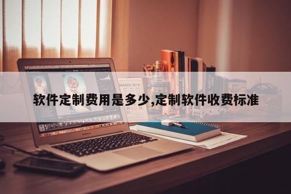 软件定制费用是多少,定制软件收费标准