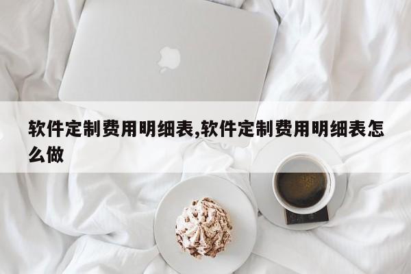 软件定制费用明细表,软件定制费用明细表怎么做