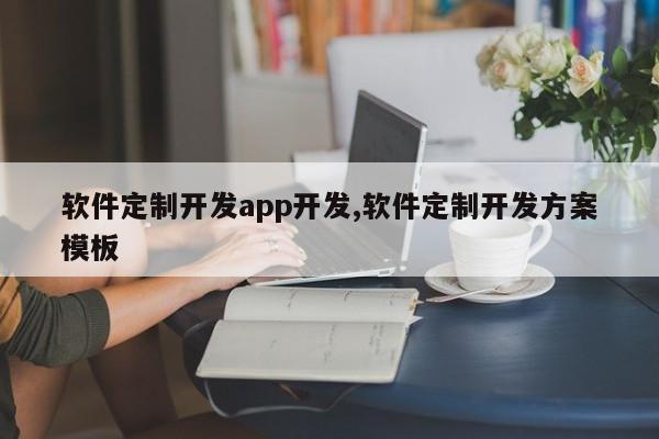 软件定制开发app开发,软件定制开发方案模板