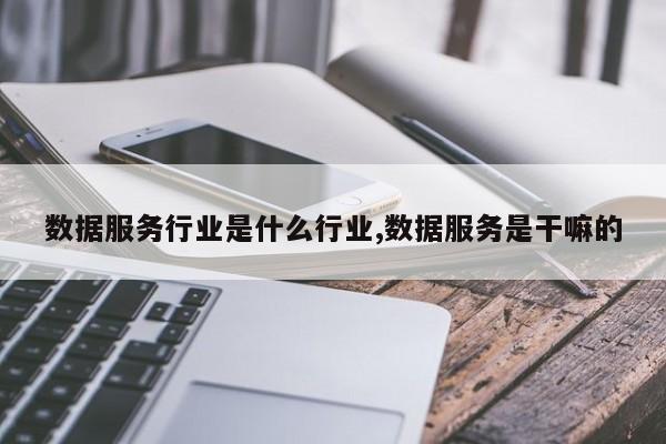 数据服务行业是什么行业,数据服务是干嘛的