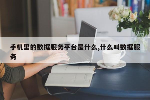 手机里的数据服务平台是什么,什么叫数据服务