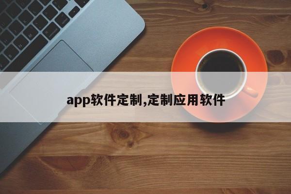 app软件定制,定制应用软件