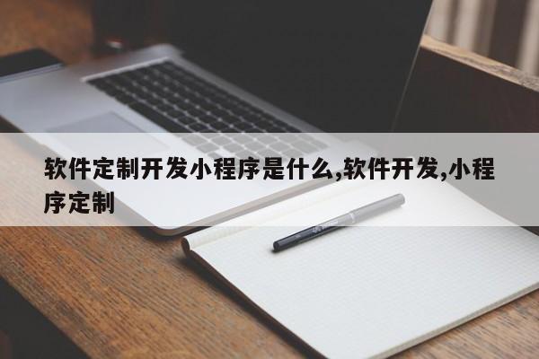 软件定制开发小程序是什么,软件开发,小程序定制