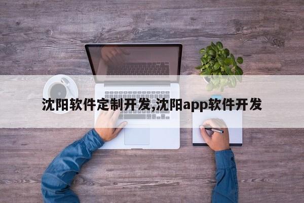 沈阳软件定制开发,沈阳app软件开发