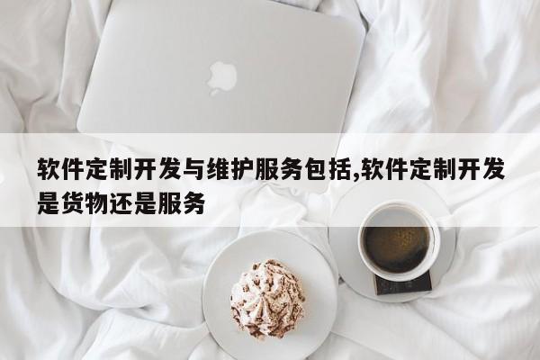 软件定制开发与维护服务包括,软件定制开发是货物还是服务