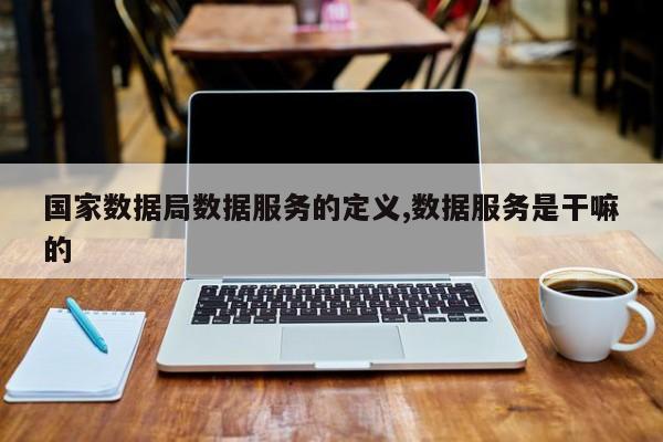 国家数据局数据服务的定义,数据服务是干嘛的