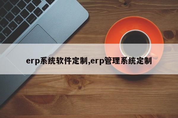 erp系统软件定制,erp管理系统定制