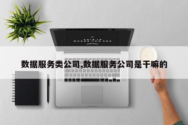 数据服务类公司,数据服务公司是干嘛的