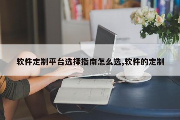 软件定制平台选择指南怎么选,软件的定制