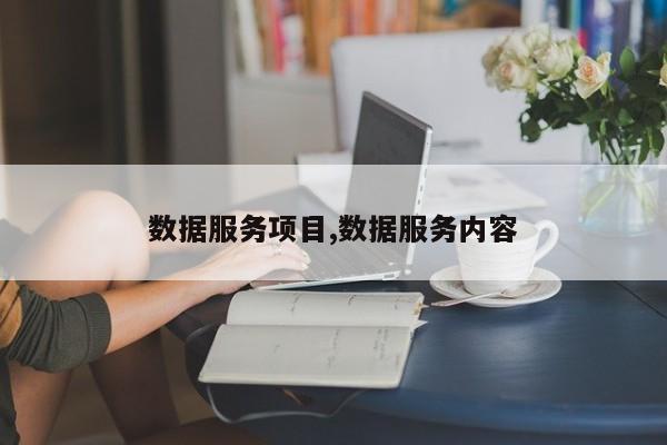 数据服务项目,数据服务内容