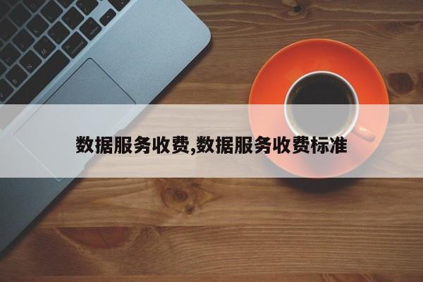 数据服务收费,数据服务收费标准