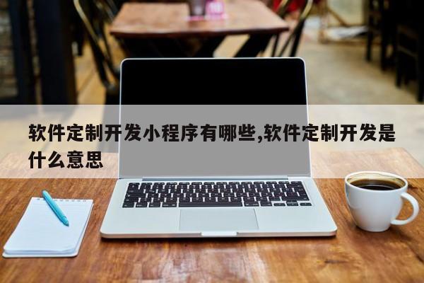 软件定制开发小程序有哪些,软件定制开发是什么意思