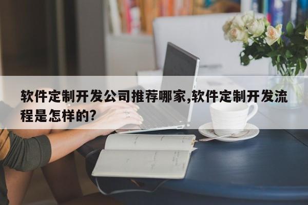 软件定制开发公司推荐哪家,软件定制开发流程是怎样的?