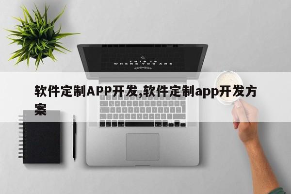 软件定制APP开发,软件定制app开发方案