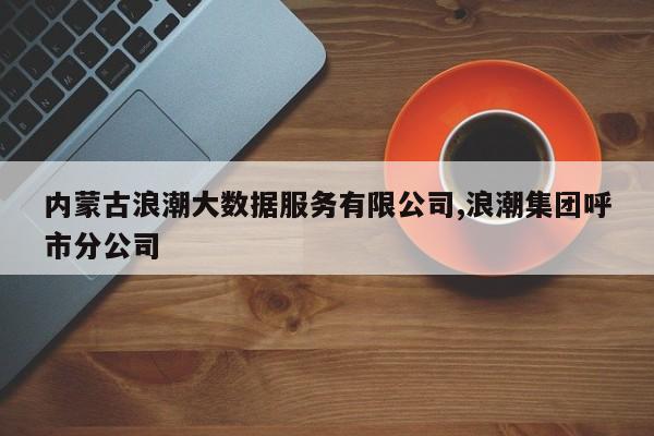 内蒙古浪潮大数据服务有限公司,浪潮集团呼市分公司