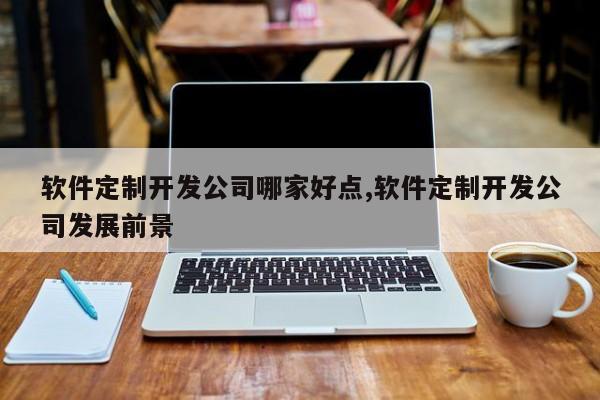 软件定制开发公司哪家好点,软件定制开发公司发展前景