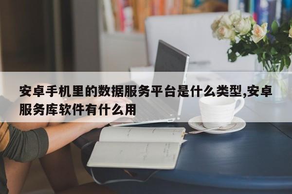 安卓手机里的数据服务平台是什么类型,安卓服务库软件有什么用