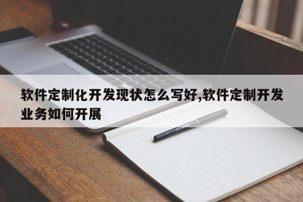 软件定制化开发现状怎么写好,软件定制开发业务如何开展