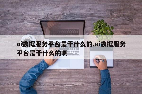 ai数据服务平台是干什么的,ai数据服务平台是干什么的啊