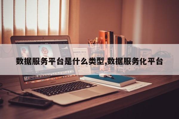 数据服务平台是什么类型,数据服务化平台